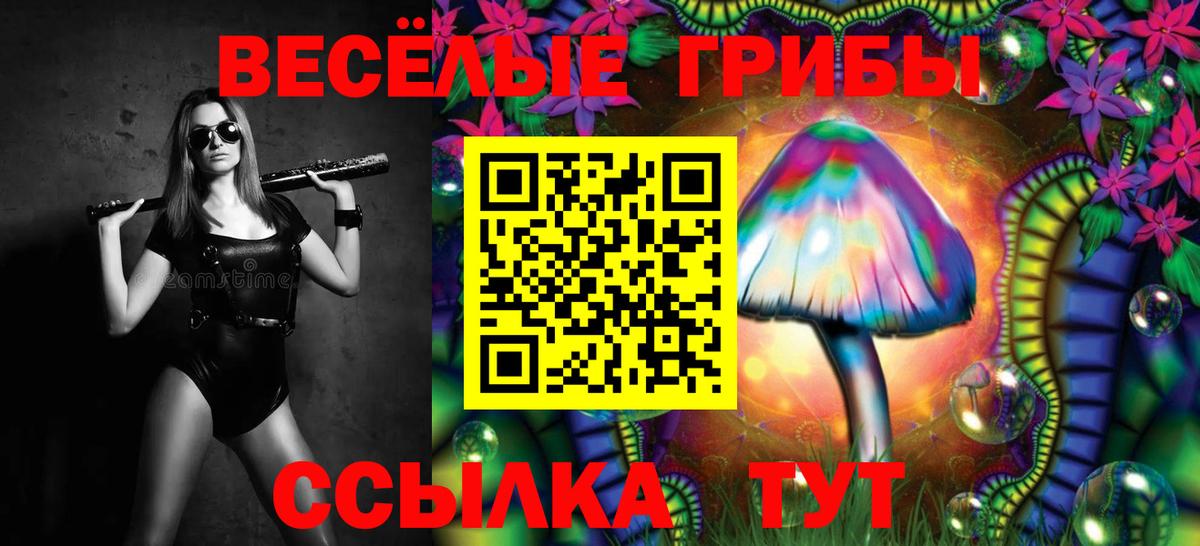 Псилоцибиновые грибы GOLDEN TEACHER  Галлюциногенные грибы MAGIC MUSHROOMS  Вход с VPN  что такое наркотик  Кострома 